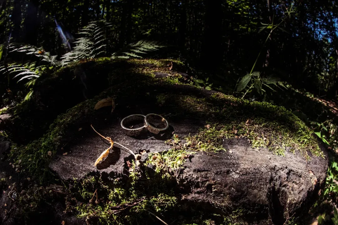 Gollum's Obsession With the Ring - The Lord of the Rings (Image Credits: Unsplash)