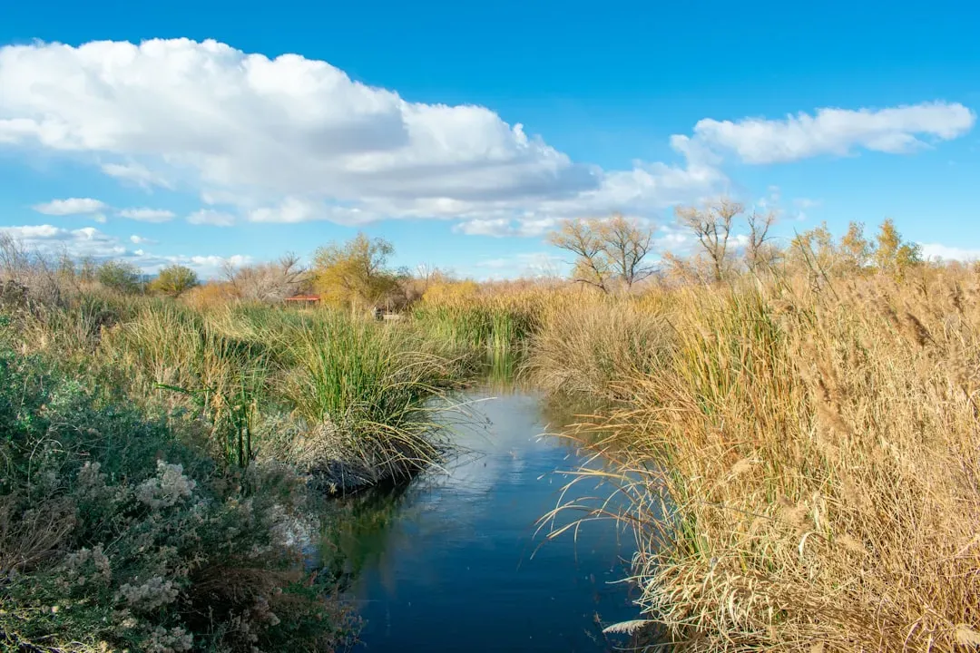 The Las Vegas Wash: The Valley's Flood Highway (Image Credits: Unsplash)