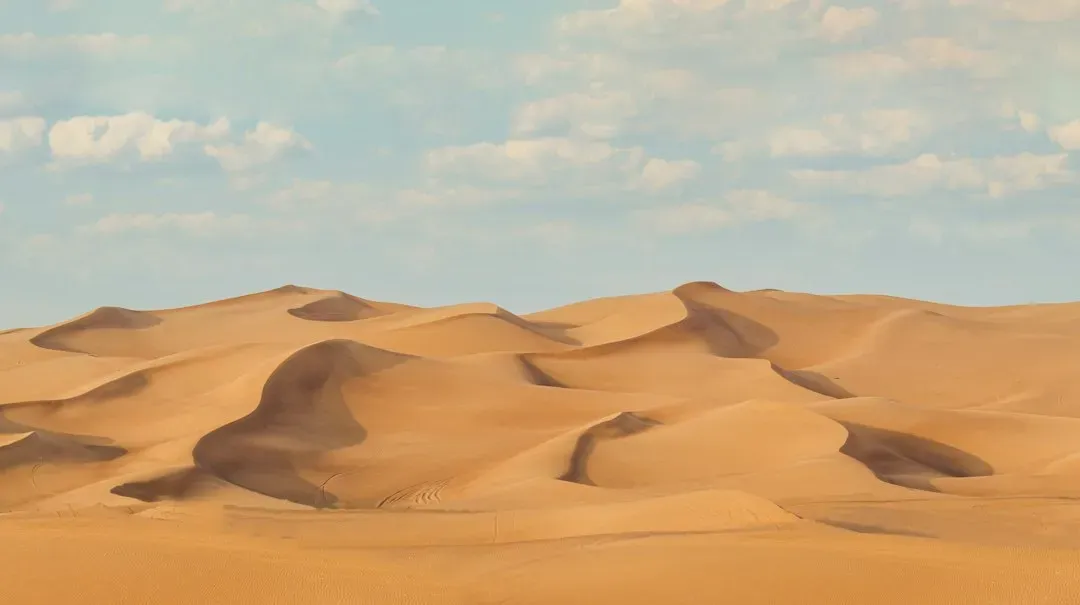 Lawrence of Arabia (1962) (Image Credits: Unsplash)