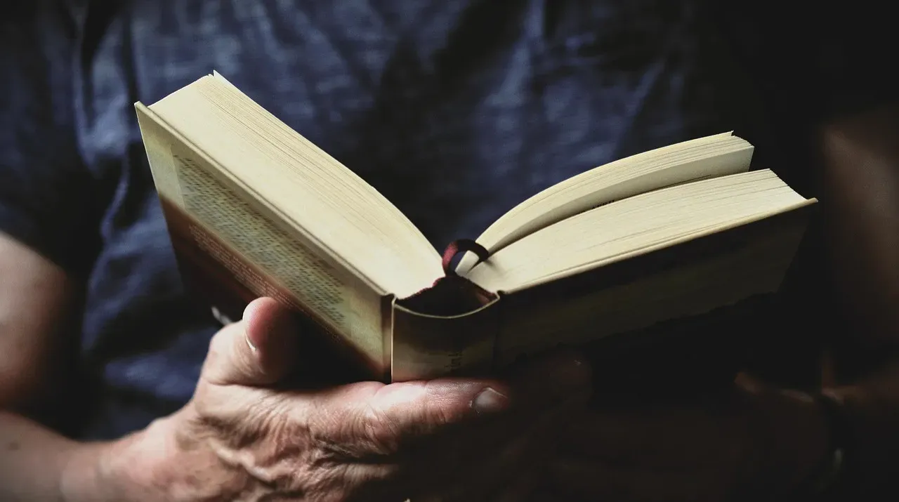 3. Vanity Fair by William Makepeace Thackeray (Image Credits: Pixabay)