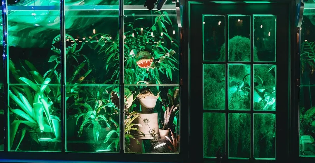 4. Little Shop of Horrors lost its apocalyptic finale (Image Credits: Unsplash)