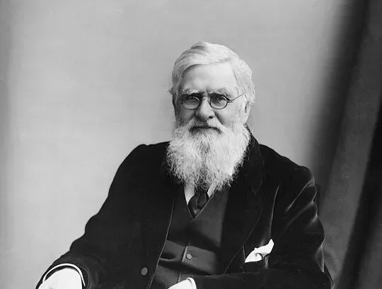 Alfred Russel Wallace and Natural Selection in the Malay Archipelago (Image Credits: Flickr)