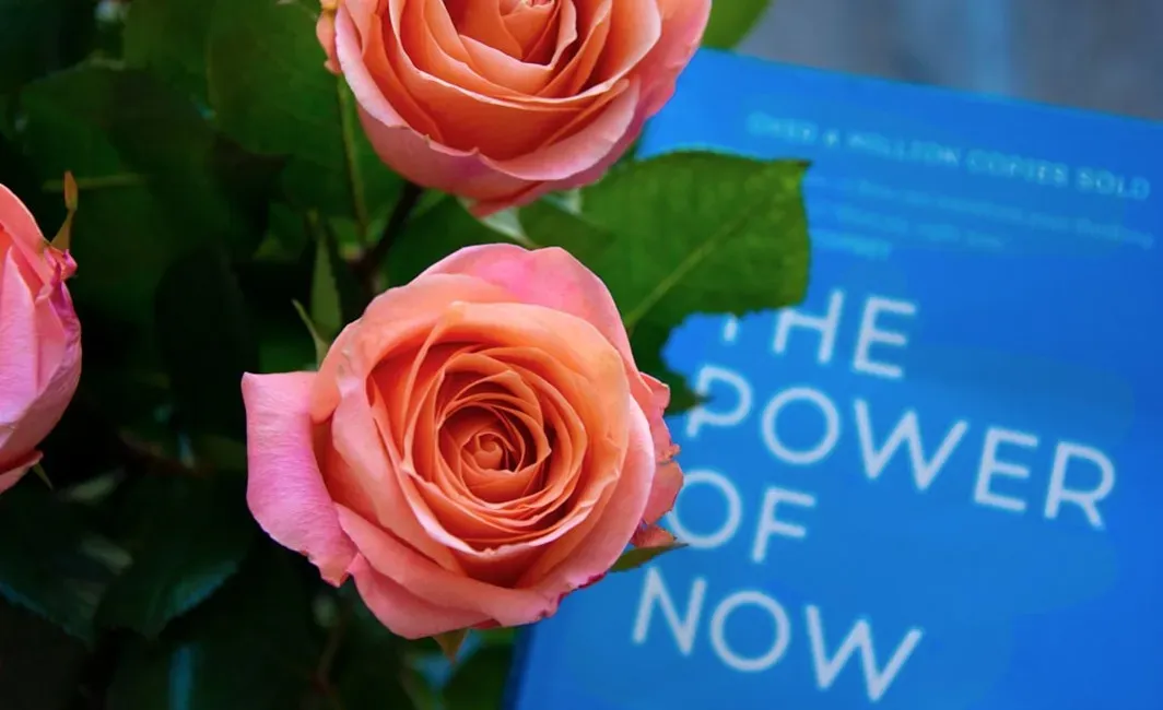 6. The Power of Now - Eckhart Tolle (Image Credits: Unsplash)