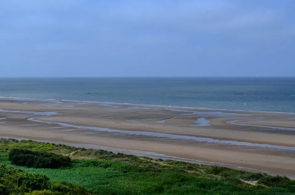 The Omaha Beach Landing in Saving Private Ryan (Image Credits: Pexels)