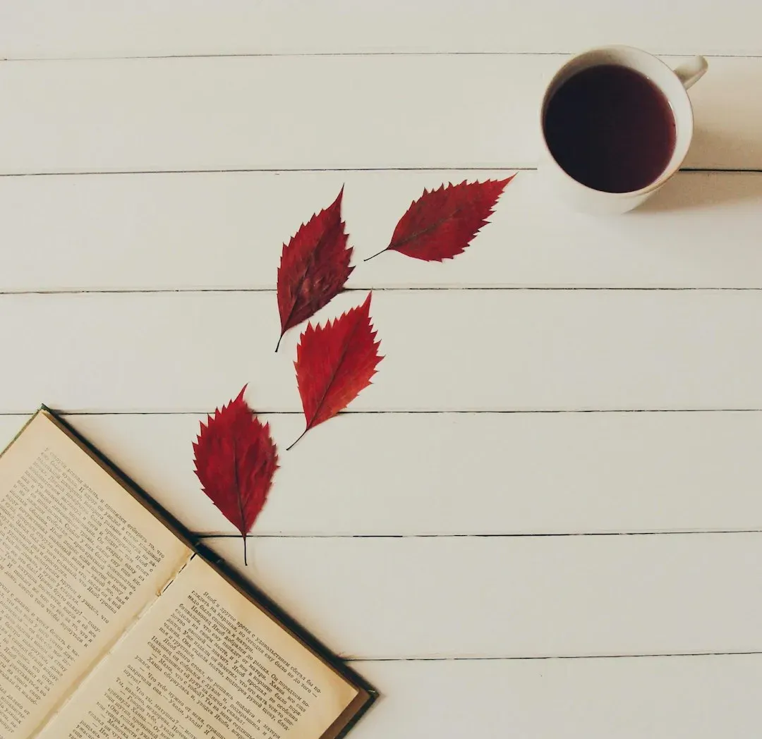 7. Rereading Anchors Us During Uncertain Times (Image Credits: Unsplash)