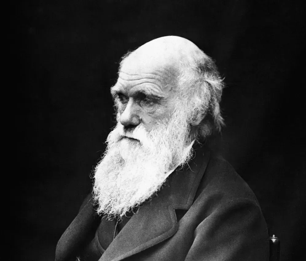 On the Origin of Species by Charles Darwin - The Book That Broke Everything Open (Image Credits: Pixabay)