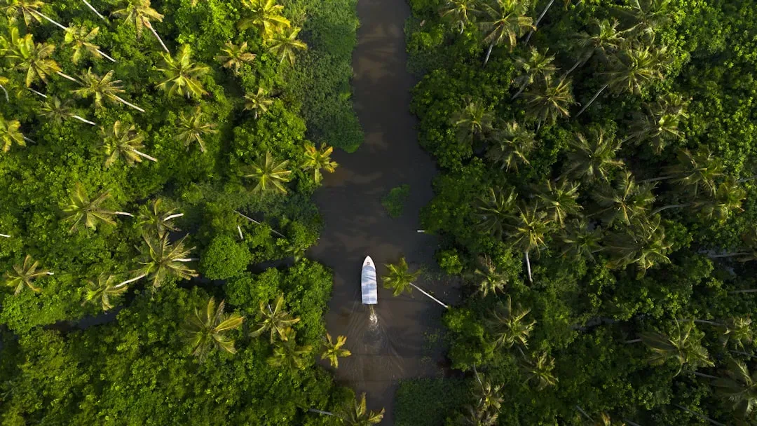 5. The God of Small Things by Arundhati Roy (1997) (Image Credits: Unsplash)