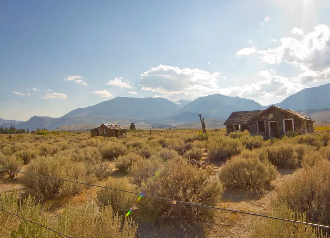 Why Private Personalities Choose Henderson in the First Place (Image Credits: Unsplash)