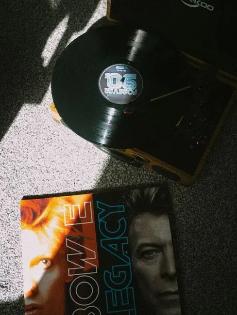 A song called Cool Cat that never made it (Image Credits: Pexels)