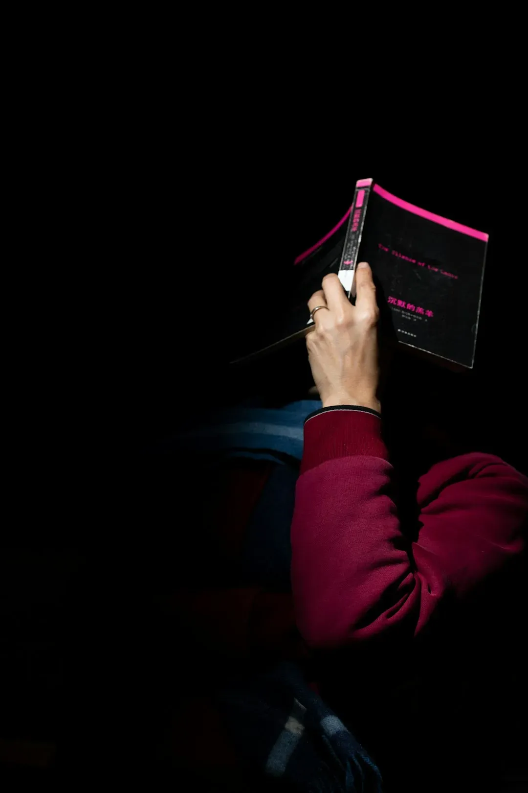 5. The Mental Imagery Is Never Quite the Same Twice (Image Credits: Unsplash)