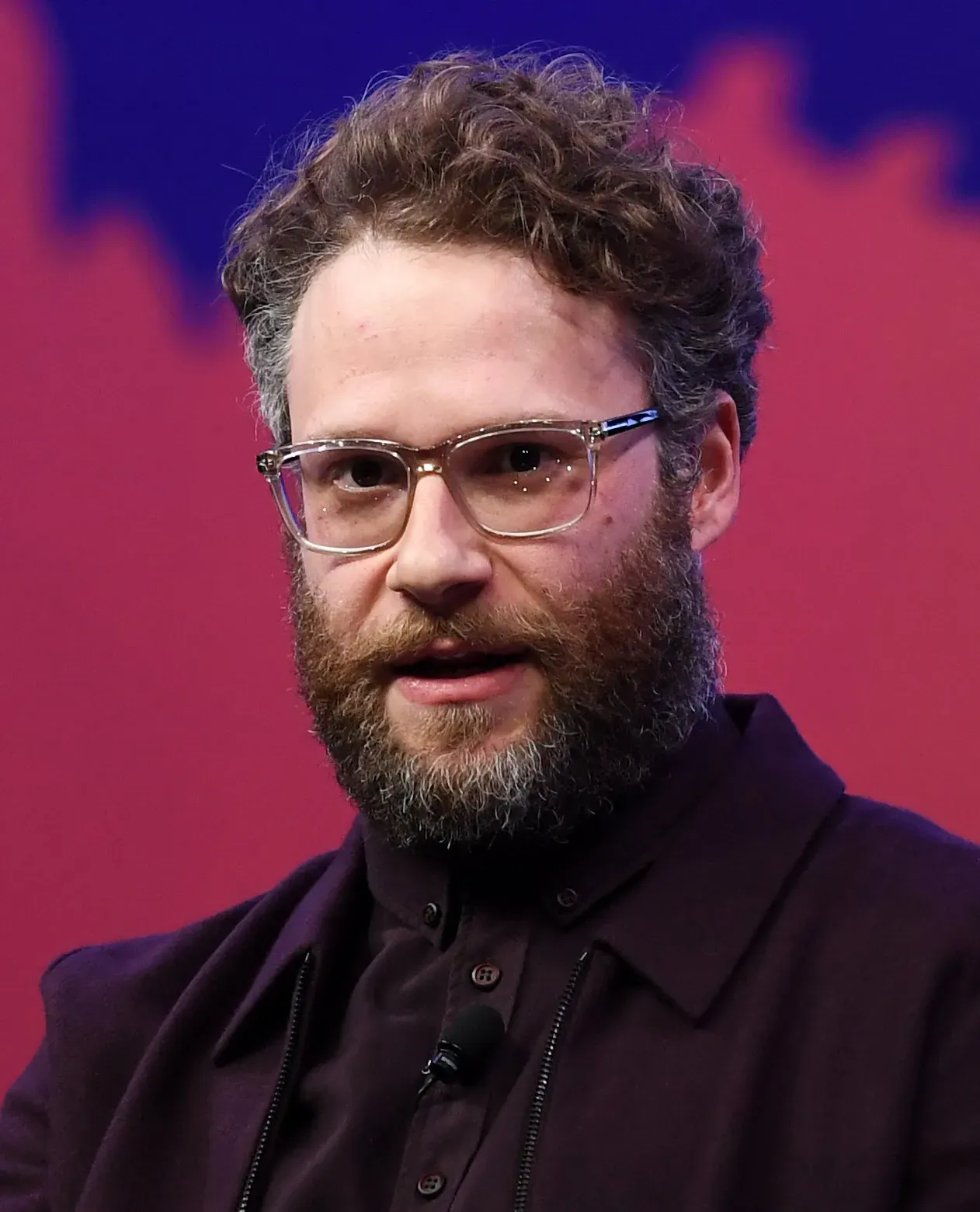 Seth Rogen (By Stephen McCarthy/Collision via Sportsfile - Collision Conf from Toronto, Canada, CC BY 2.0)