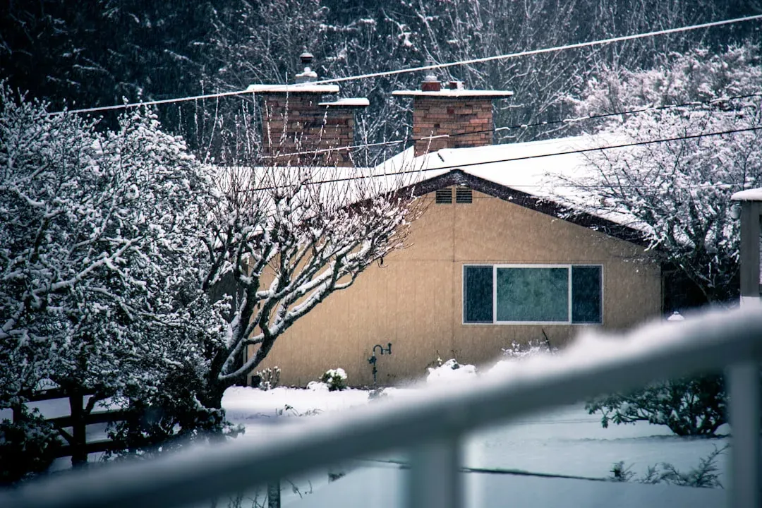 Conclusion (Image Credits: Unsplash)