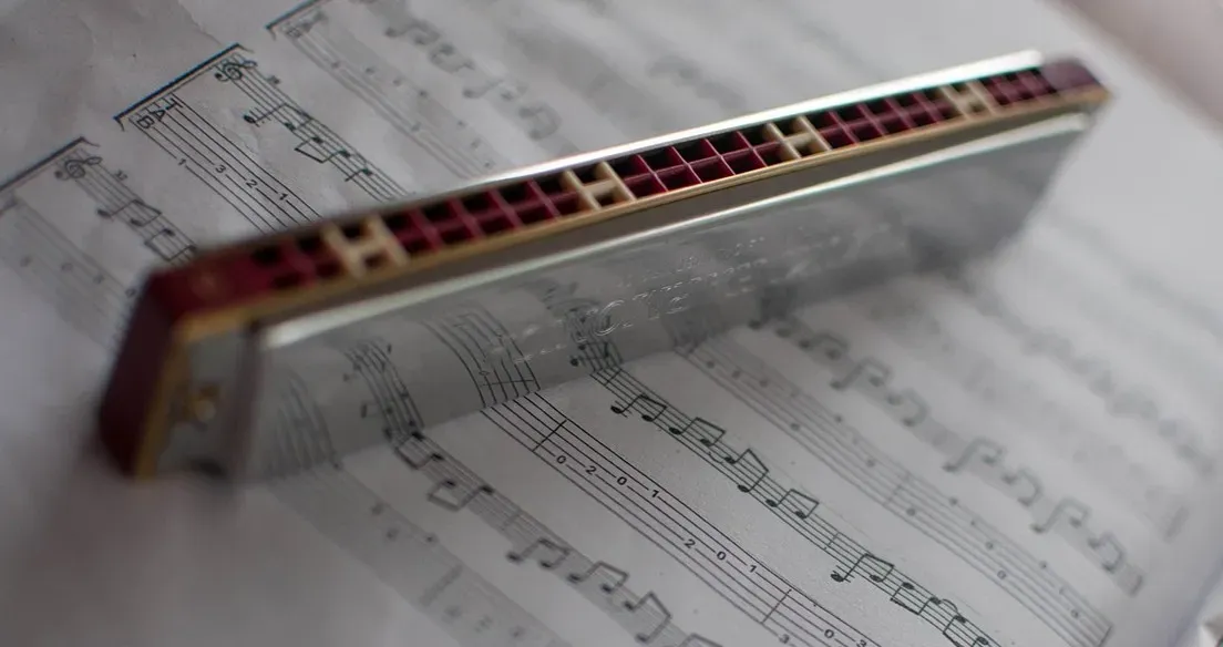 Conclusion: Your Genre Is Your Guide (Image Credits: Pixabay)