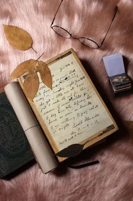 Emily Dickinson's Letters (Image Credits: Pexels)
