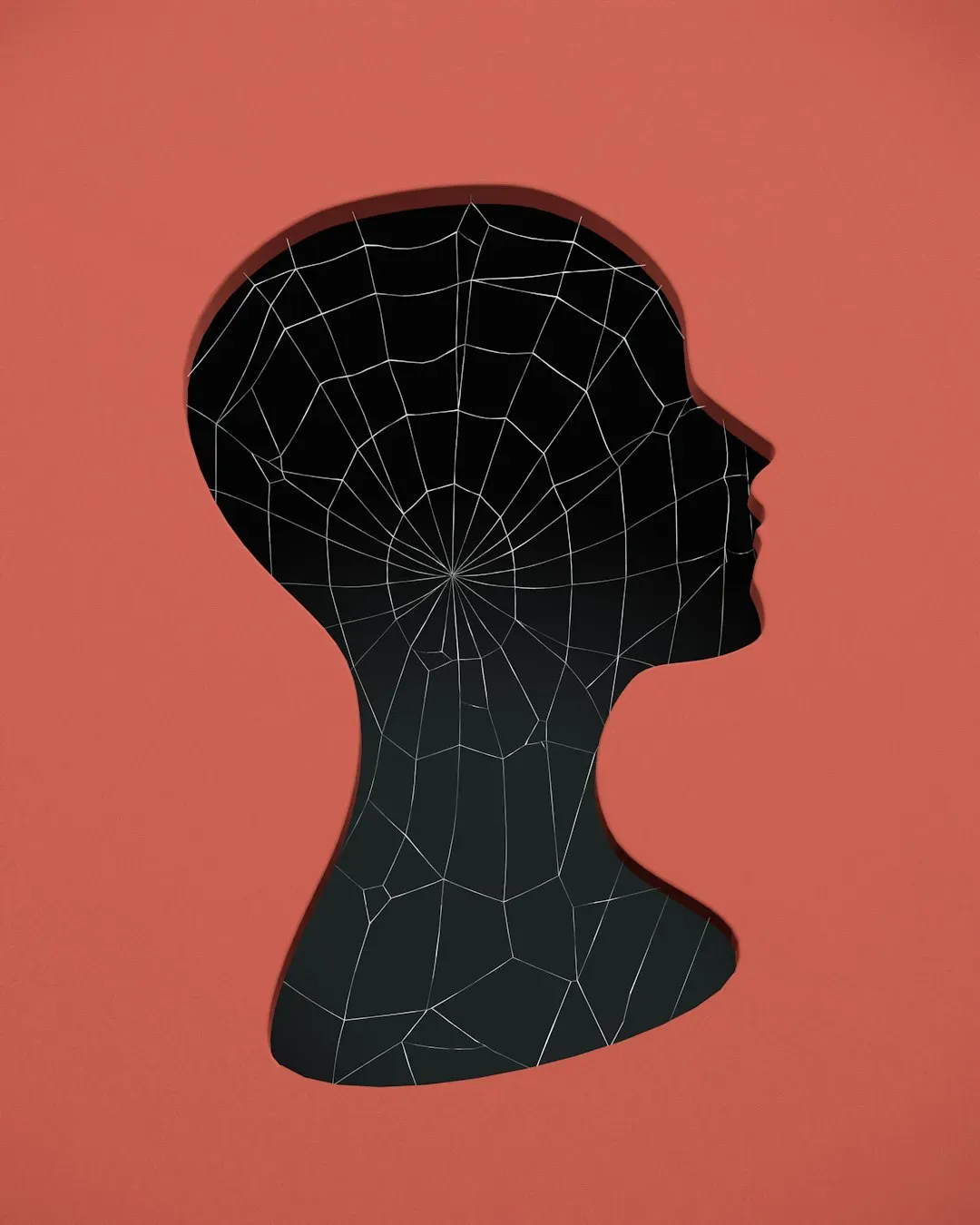 8. Madame Web (2024) (Image Credits: Unsplash)