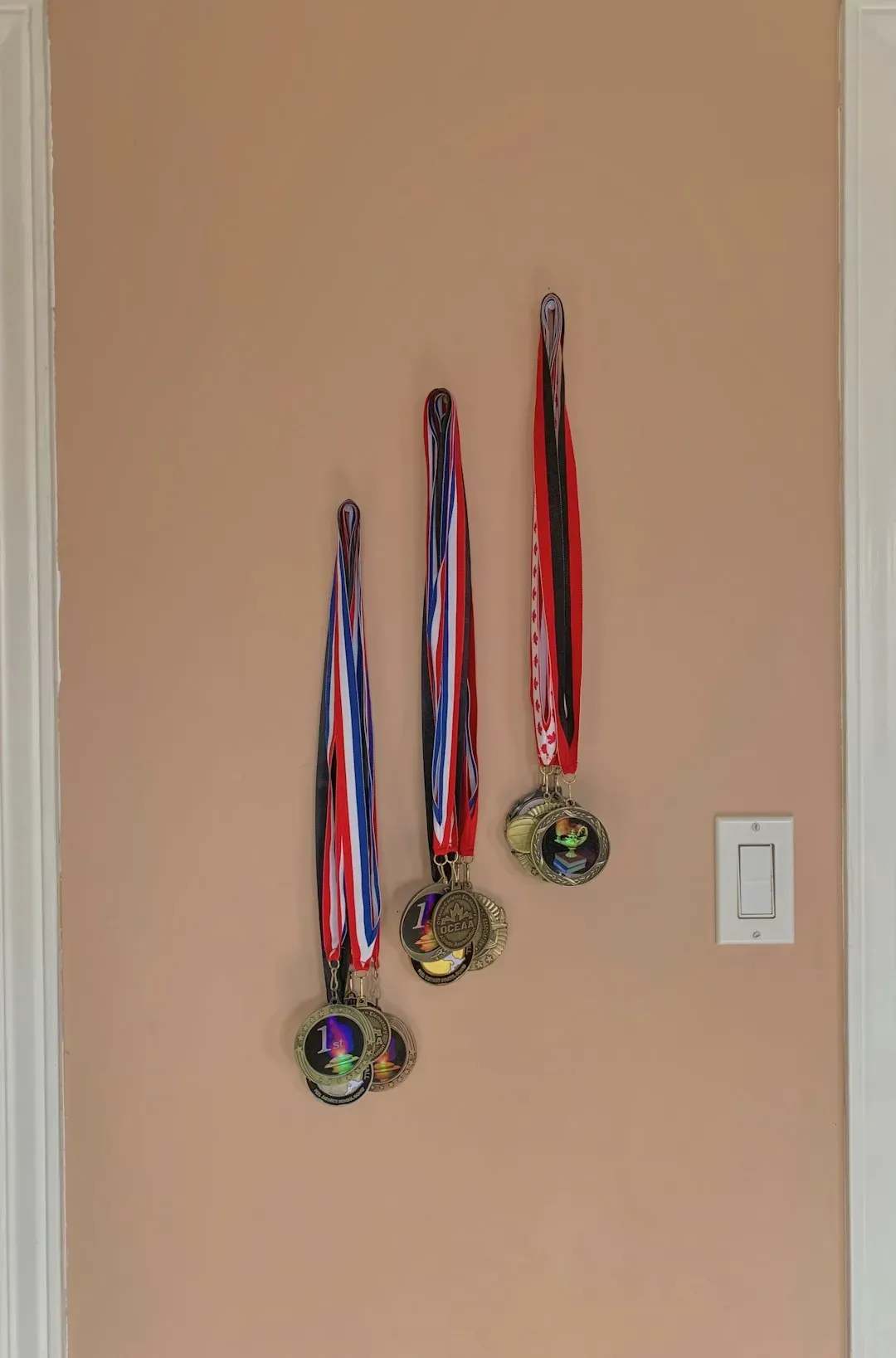 The Blueprint They All Share (Image Credits: Unsplash)