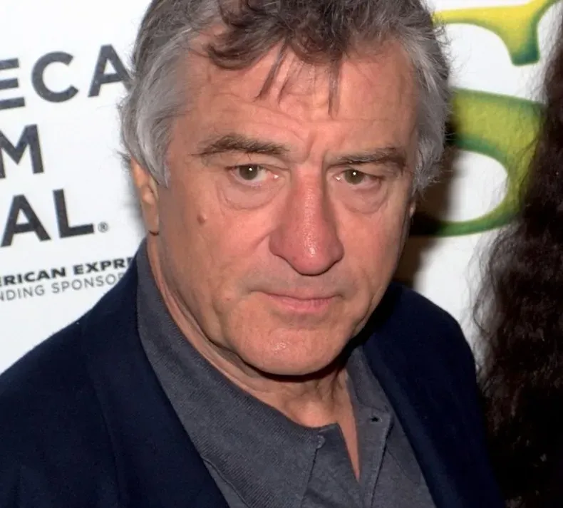 13. The Mission (1986) (Image Credits: Cropped Image)