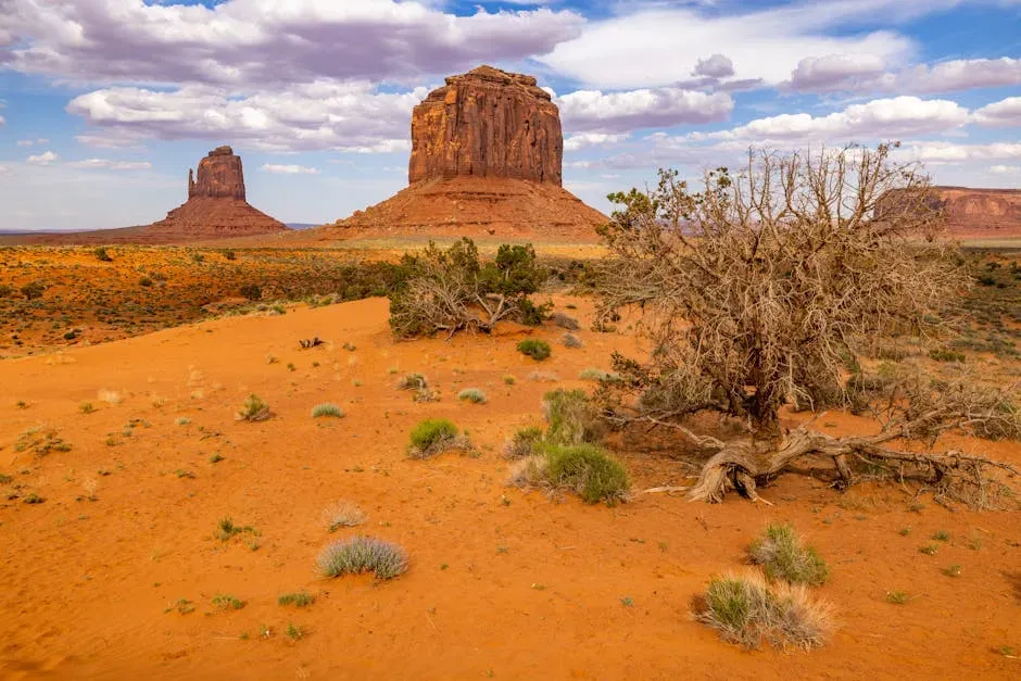 11. Blood Meridian by Cormac McCarthy (Image Credits: Pexels)