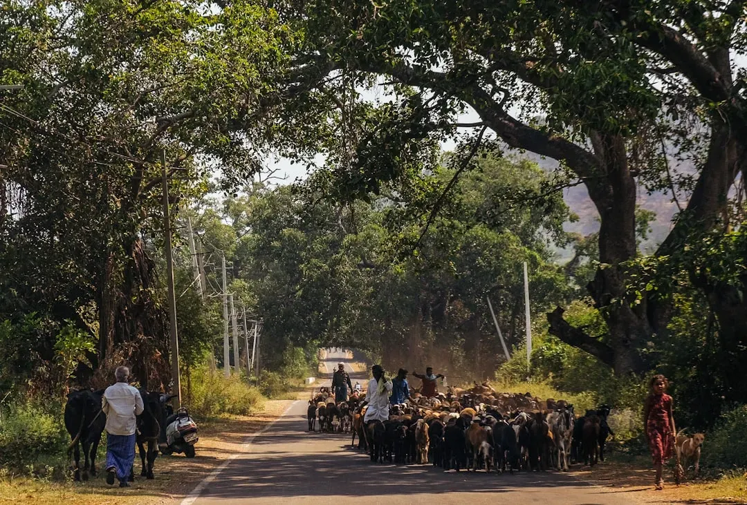 The God of Small Things by Arundhati Roy (1997) (Image Credits: Unsplash)