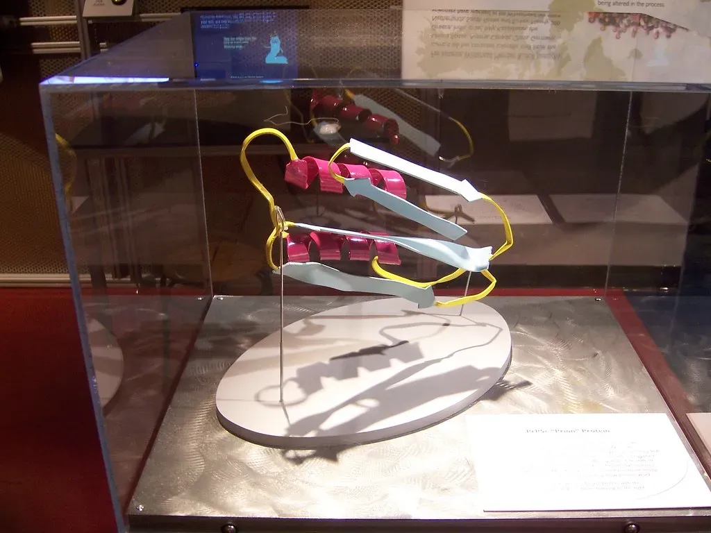 The Discovery of Prions (Image Credits: Flickr)