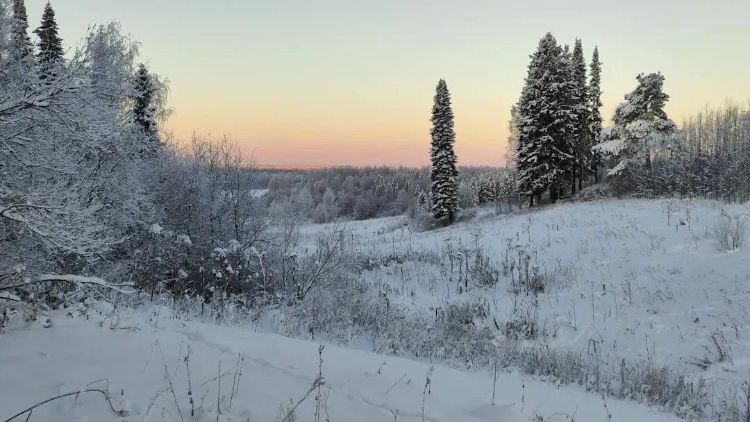 Led Zeppelin at Headley Grange: December Cold and a Drum Sound for the Ages (Image Credits: Unsplash)