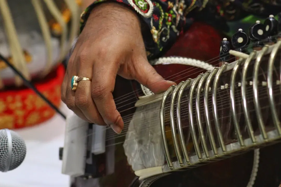 7. The Sitar - The Beatles, "Norwegian Wood (This Bird Has Flown)" (1965) (Image Credits: Unsplash)