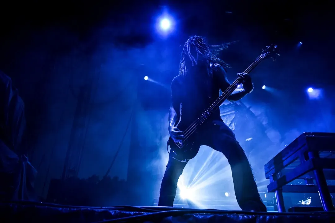 Metallica, St. Anger (Image Credits: Unsplash)