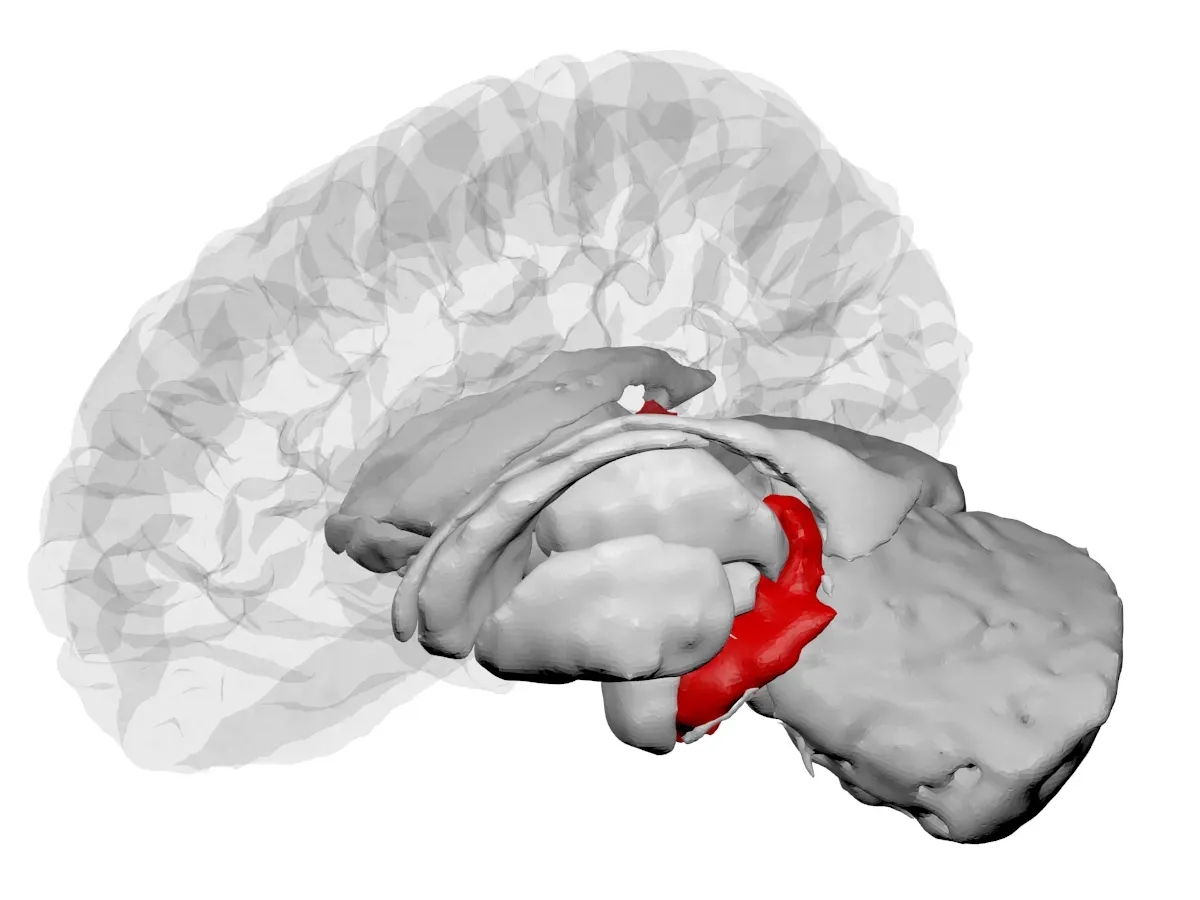 4. Associative Binding: The Hidden Mechanism (By RAZVAN V. MARINESCU, CC BY 4.0)