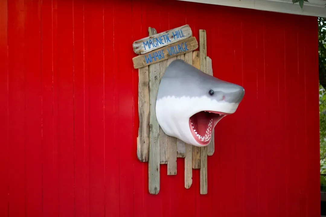 Bruce the shark from Jaws (Image Credits: Unsplash)