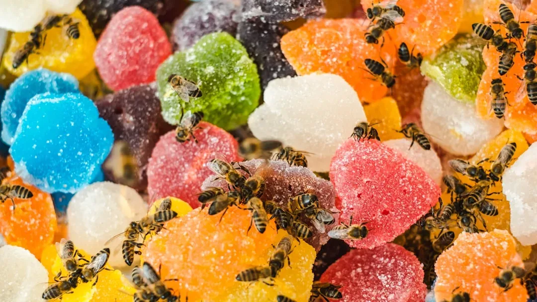 1. A Middle Schooler Who Discovered a Common Sweetener Kills Insects (Image Credits: Unsplash)