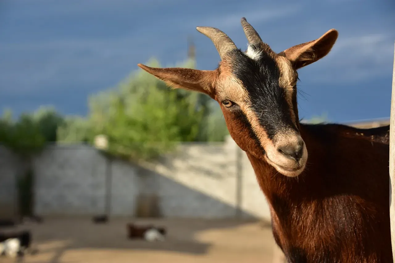 Stevenson Ranch: The Under-the-Radar Alternative (Image Credits: Pixabay)