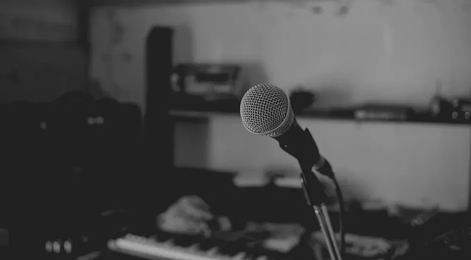 Heavy Auto-Tune as a Crutch (Image Credits: Pexels)