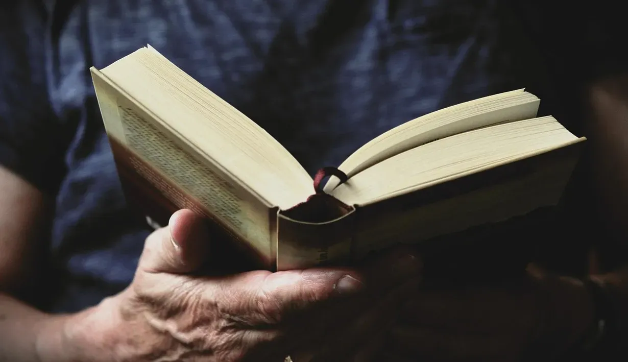 The French Lieutenant's Woman by John Fowles (Image Credits: Pixabay)