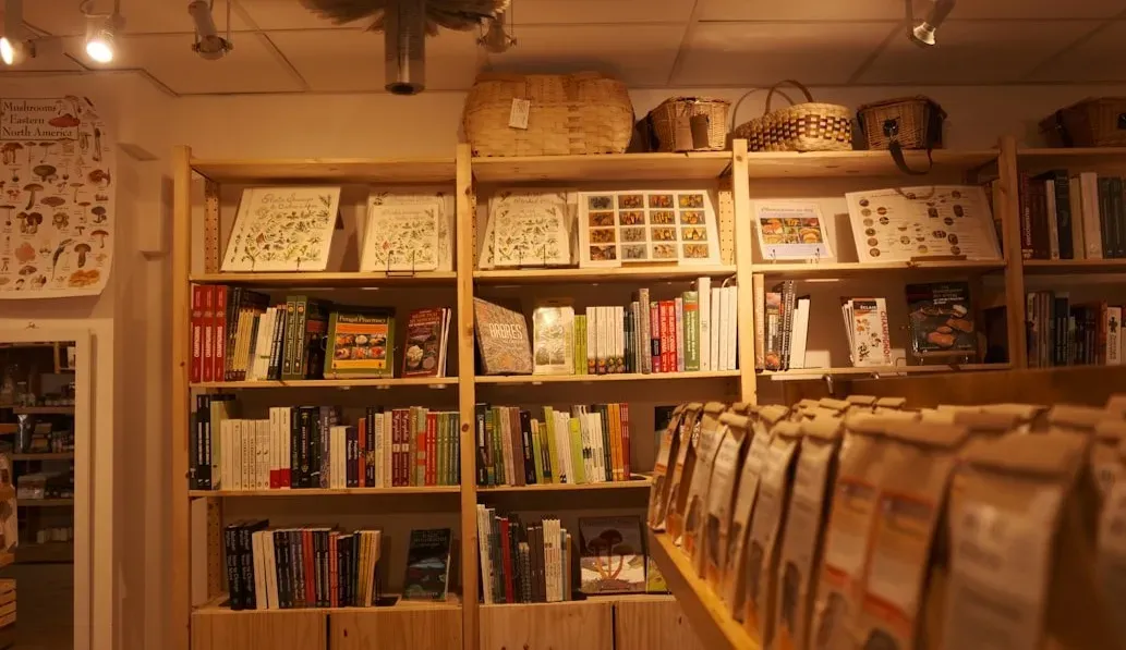 Why Classic Novels Still Matter in 2026 (Image Credits: Unsplash)