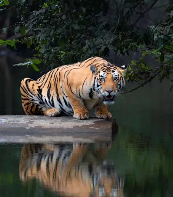 16. Life of Pi by Yann Martel (Image Credits: Pexels)