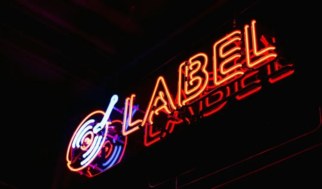 Labels Decide Whether an Album Gets Made (Image Credits: Unsplash)