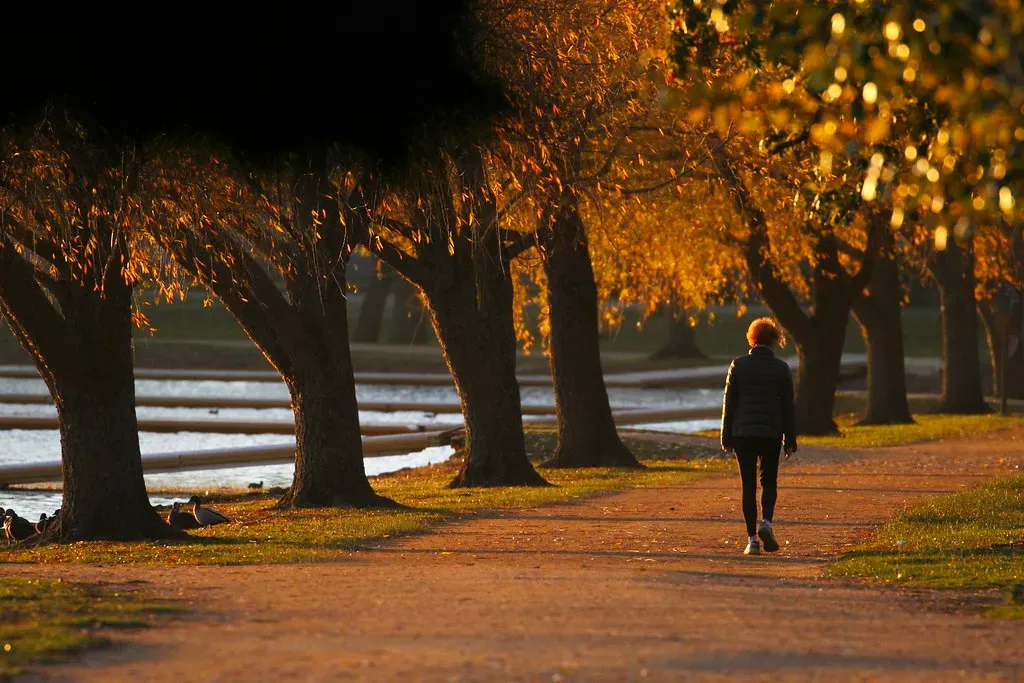 The Morning Walk - Who Uses the Parks and Who Doesn't (blachswan, Flickr, CC BY 2.0)