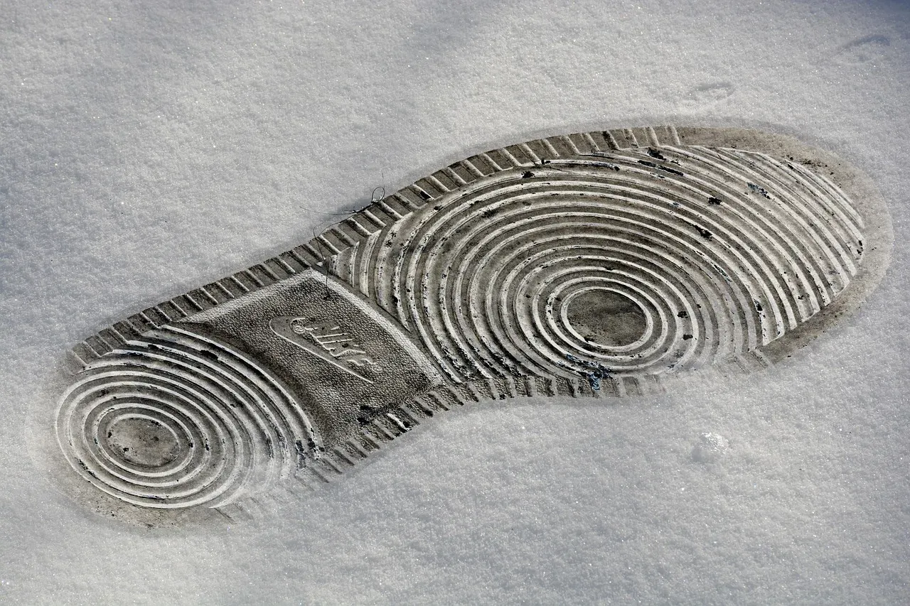 Forensic Genealogy and the New Hope for Old Cases (Image Credits: Pixabay)