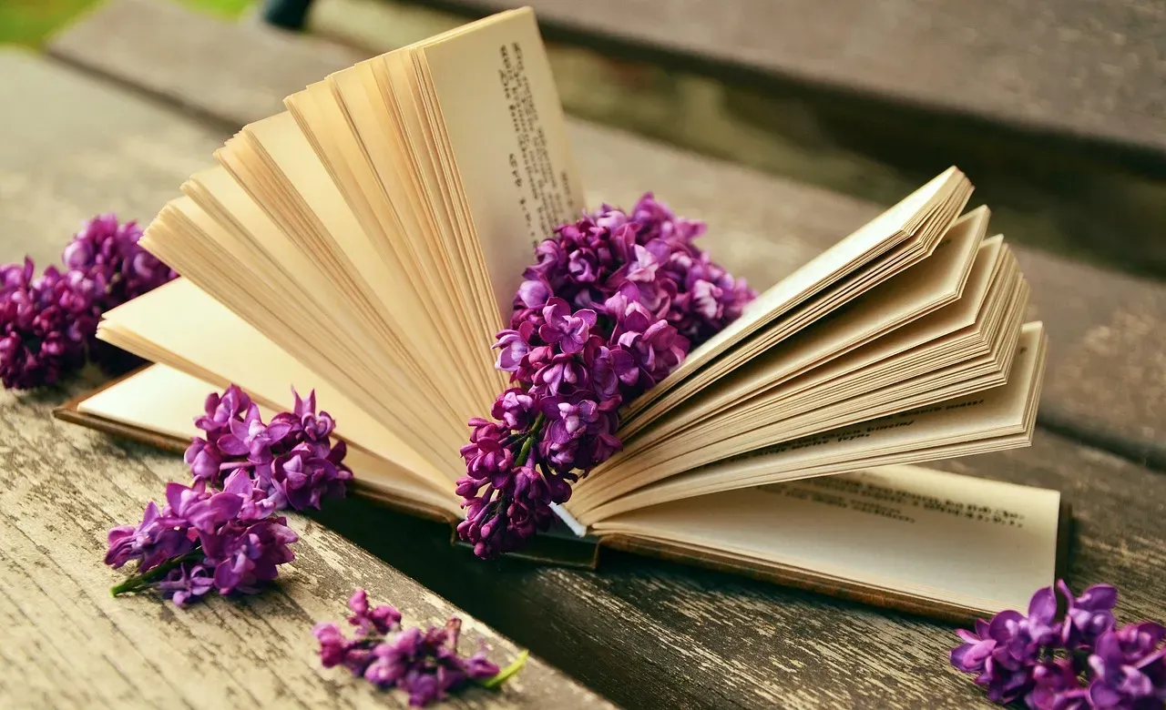 A List That Began in One City (Image Credits: Pixabay)