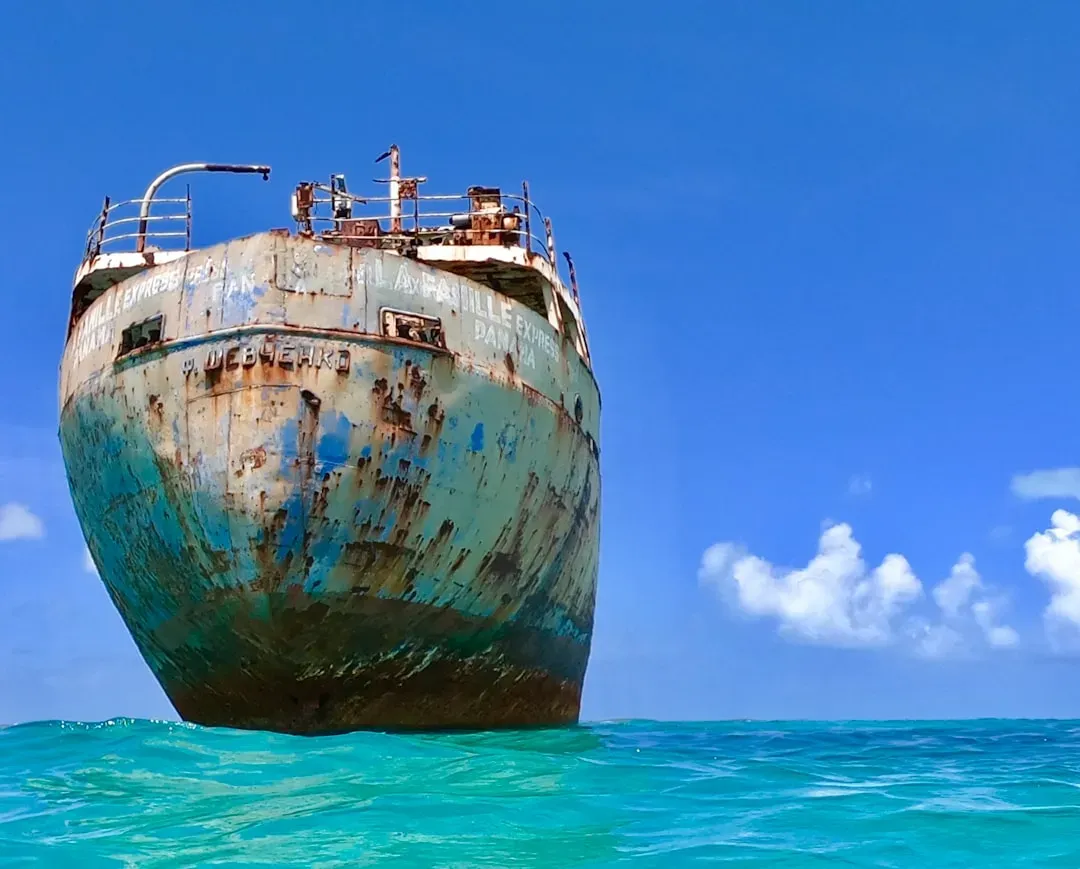 9. The Chinese Vessel Off Vietnam (November 2024): The Most Recent Entry (Image Credits: Unsplash)