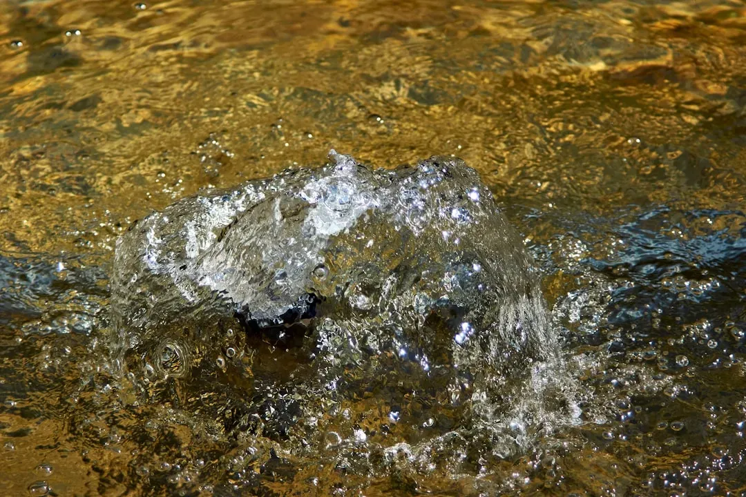 Strange Noises Signal Sediment Buildup in Your Tank (Image Credits: Unsplash)