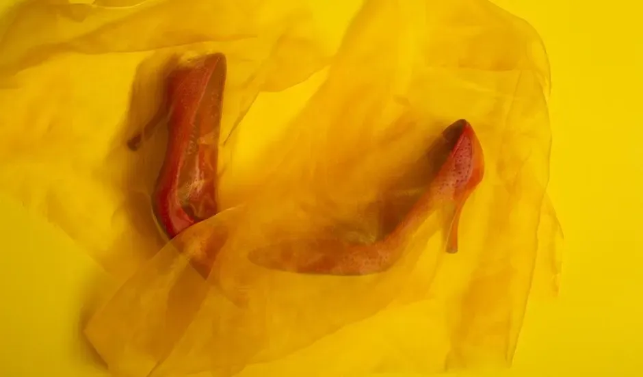 Dorothy's Ruby Slippers, The Wizard of Oz (Image Credits: Pexels)