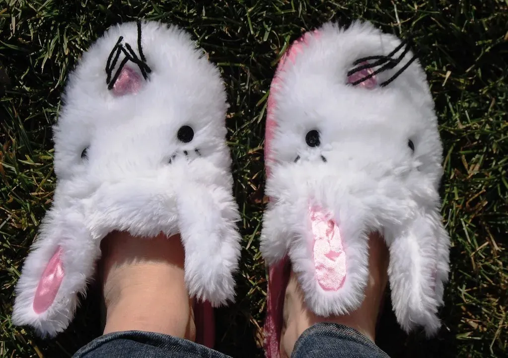 The Walking Dead: A Girl in Bunny Slippers (Image Credits: Flickr)