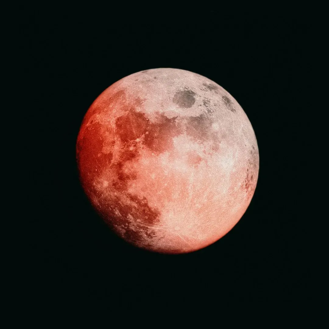 What We Do in the Shadows (Image Credits: Unsplash)
