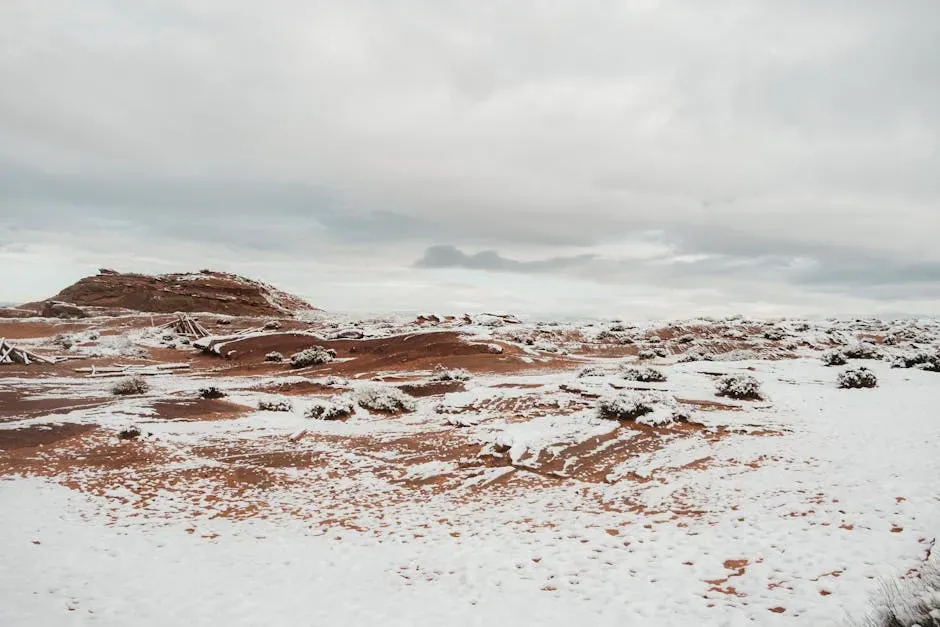 The Winter Side Nobody Talks About (Image Credits: Pexels)