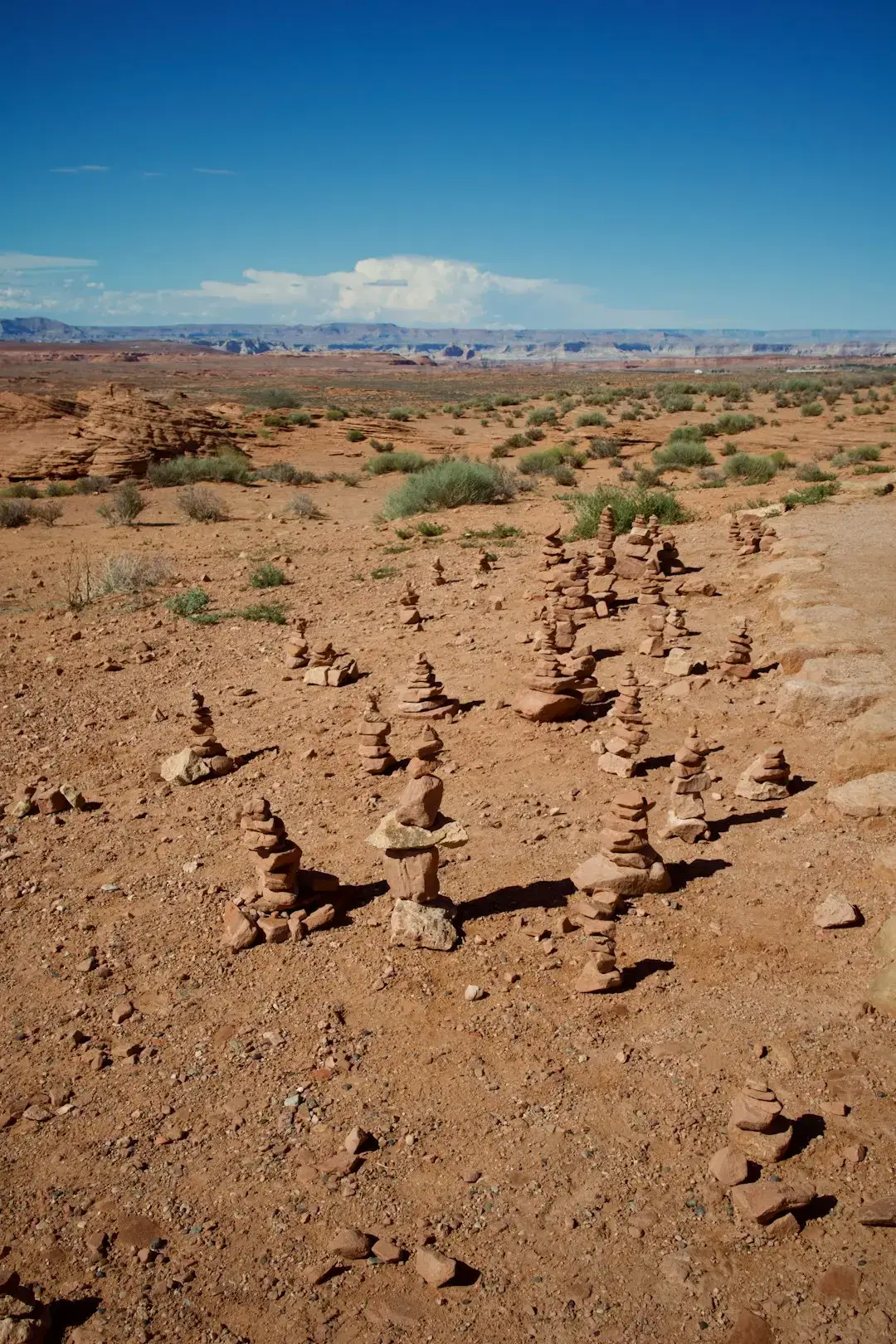 Nature Doesn't Negotiate (Image Credits: Unsplash)