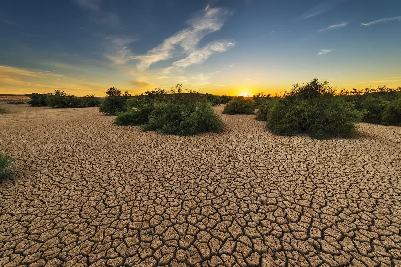 The Role of Caliche: Desert Soil That Repels Water (Image Credits: Pixabay)