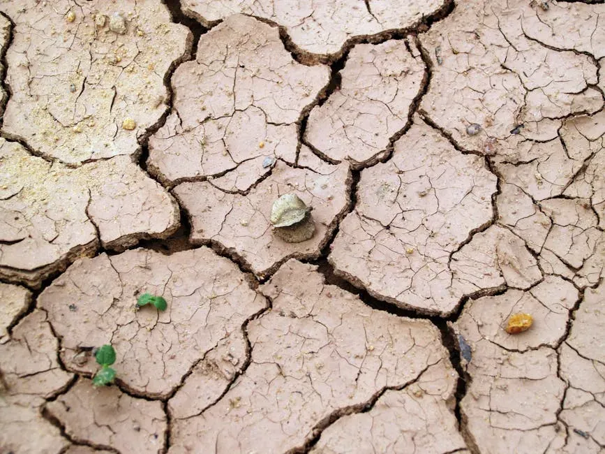 7. Angola's Silent Crisis: The Worst Drought in 40 Years, Almost Zero Coverage (Image Credits: Pexels)