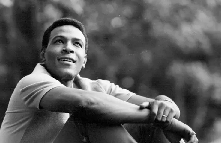 2. Marvin Gaye, What's Going On (1971) (Image Credits: Wikimedia)