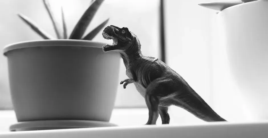 3. Jurassic Park (1993) (Image Credits: Pexels)